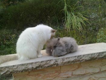 Nutella et César...le grand amour !!!